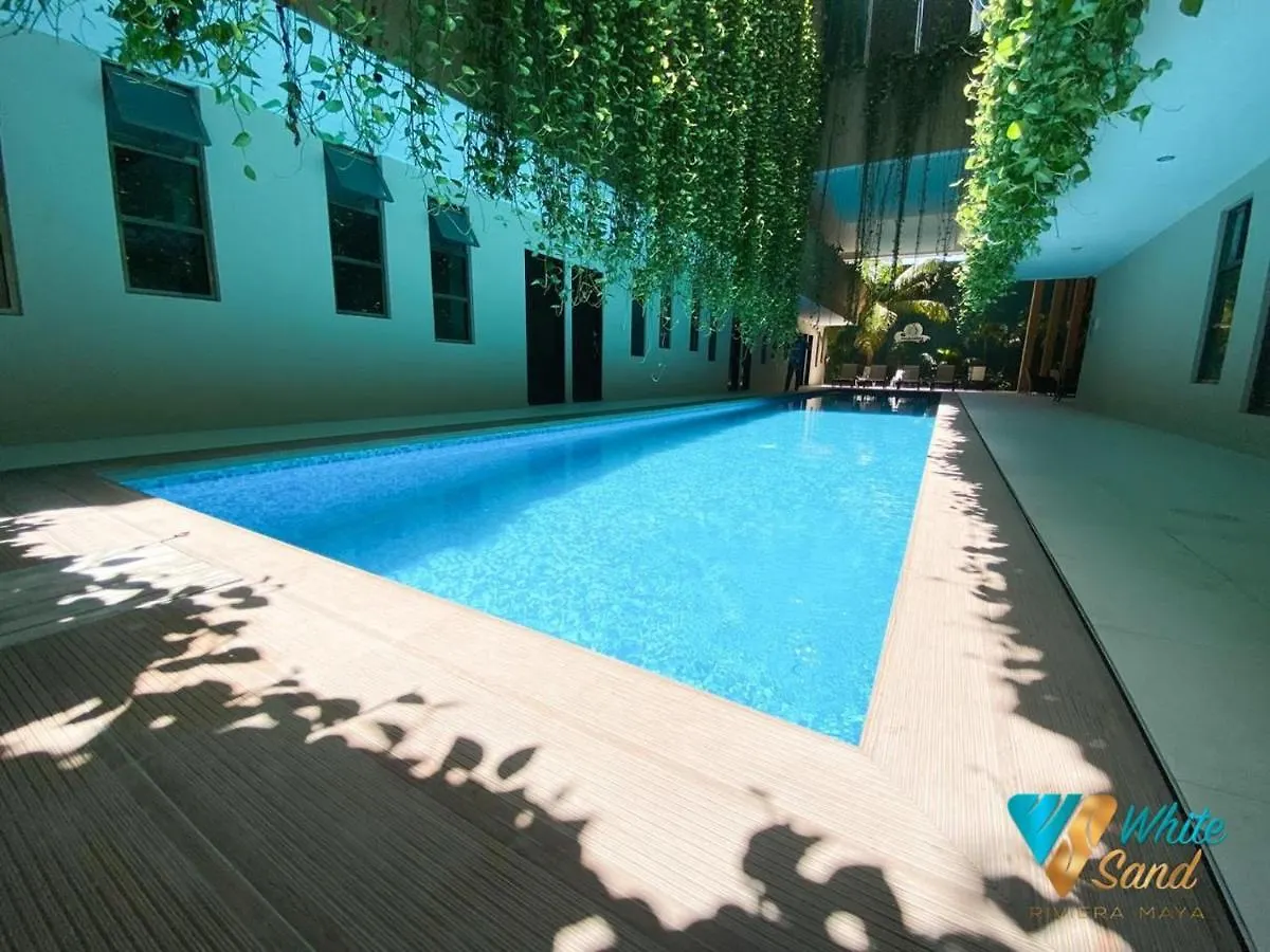 Beauty Suite W Gym Sauna Pool Close 5Th Ave &Beach Playa del Carmen Meksyk
