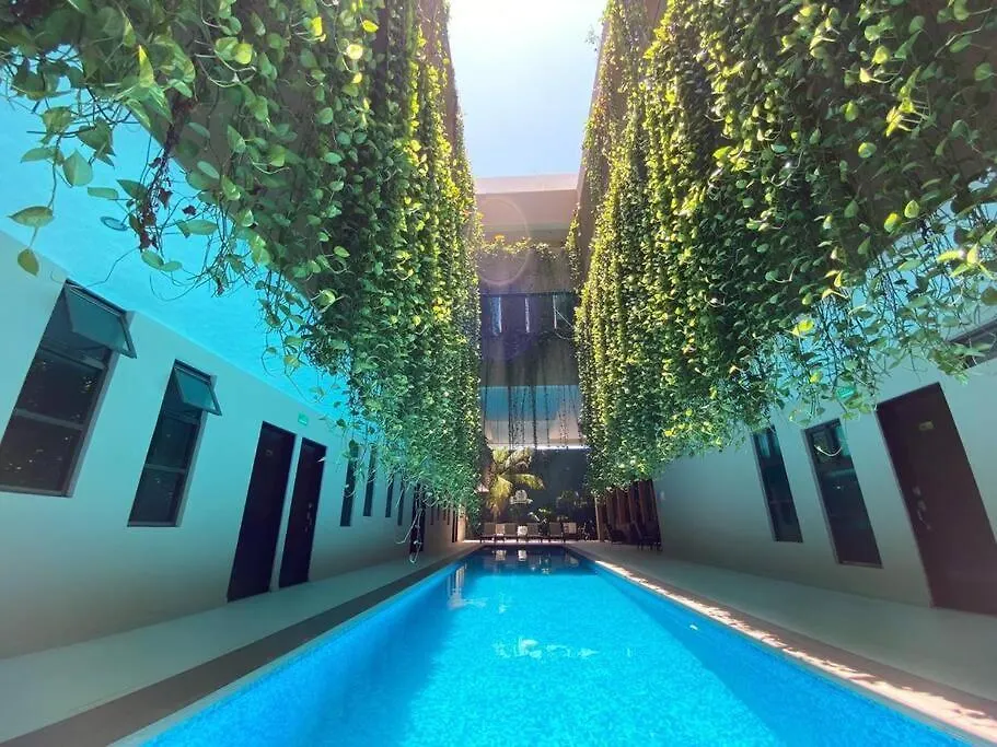 Daire Beauty Suite W Gym Sauna Pool Close 5Th Ave &Beach Playa del Carmen Meksika