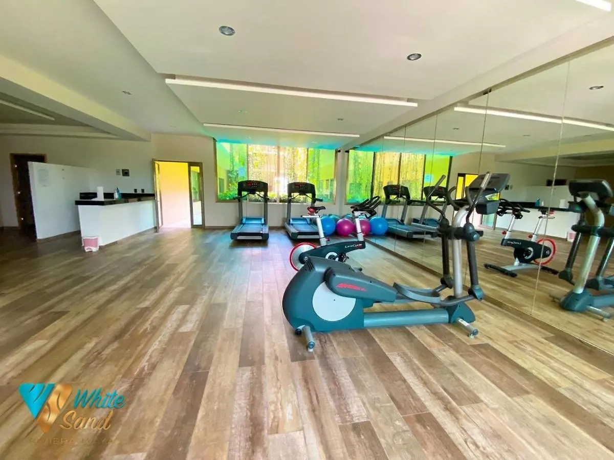 Daire Beauty Suite W Gym Sauna Pool Close 5Th Ave &Beach Playa del Carmen