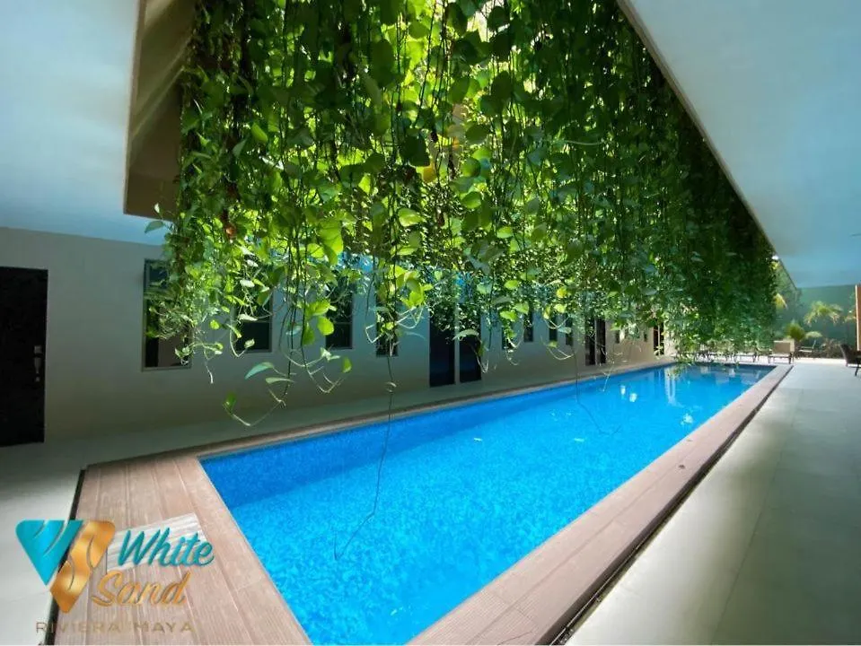 Beauty Suite W Gym Sauna Pool Close 5Th Ave &Beach Playa del Carmen 0*,  Meksika